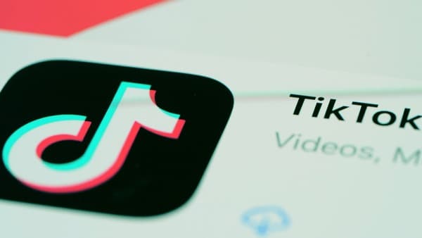 TikTok创作者后台数据面板