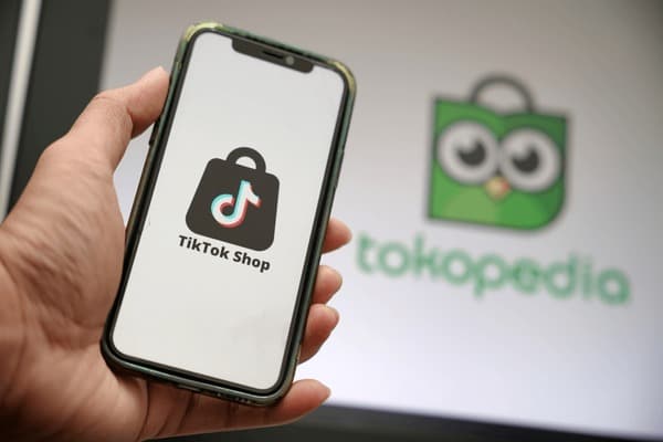 TikTok账号主页展示界面示例